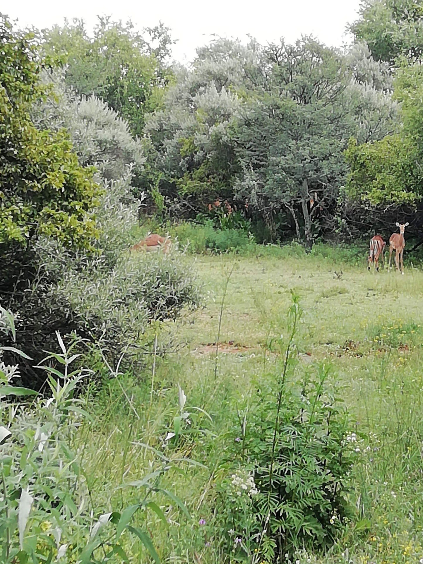  Vaal de Grace Nature Estate