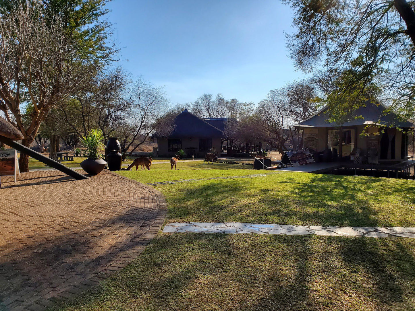  Vaalkop Dam Nature Reserve