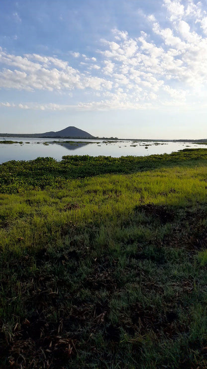  Vaalkop Dam Nature Reserve