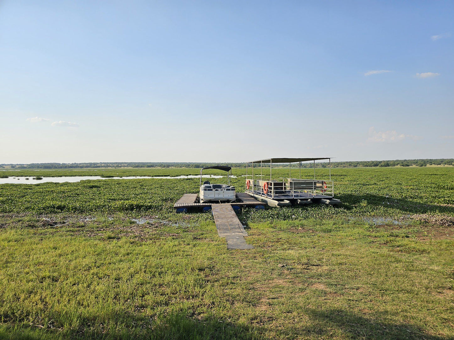  Vaalkop Dam Nature Reserve