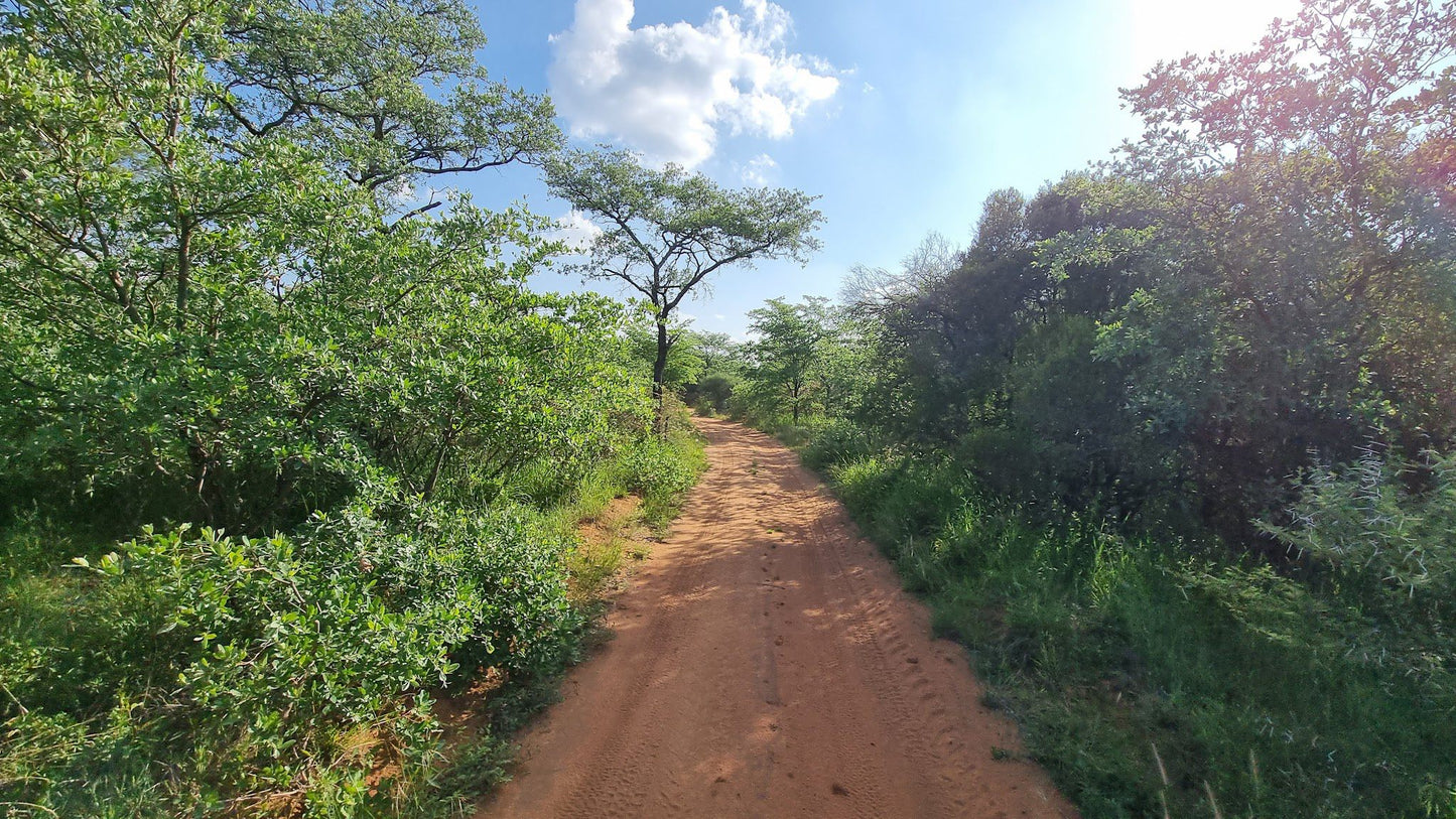  Vaalkop Dam Nature Reserve