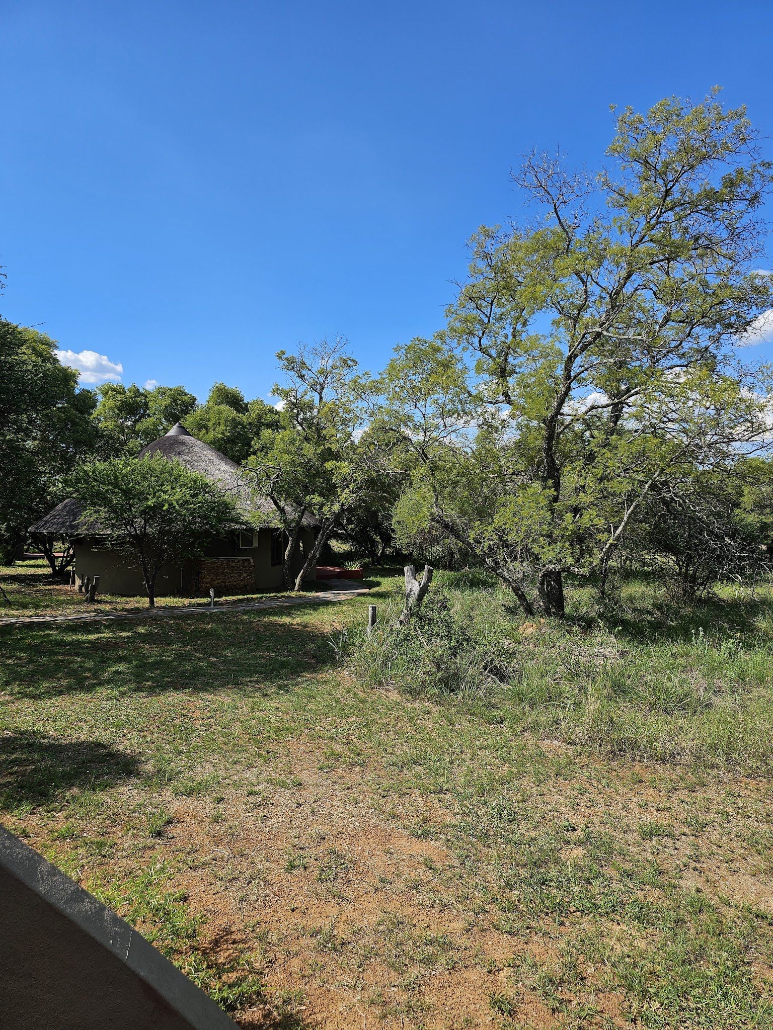  Vaalkop Dam Nature Reserve