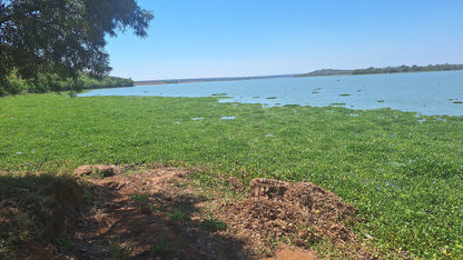  Vaalkop Dam Nature Reserve