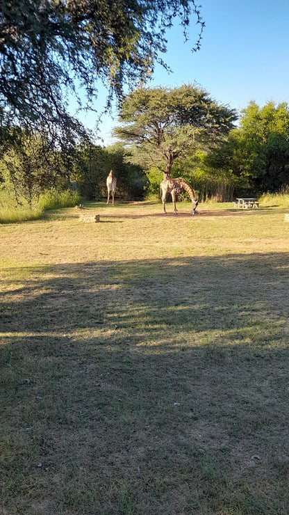  Vaalkop Dam Nature Reserve