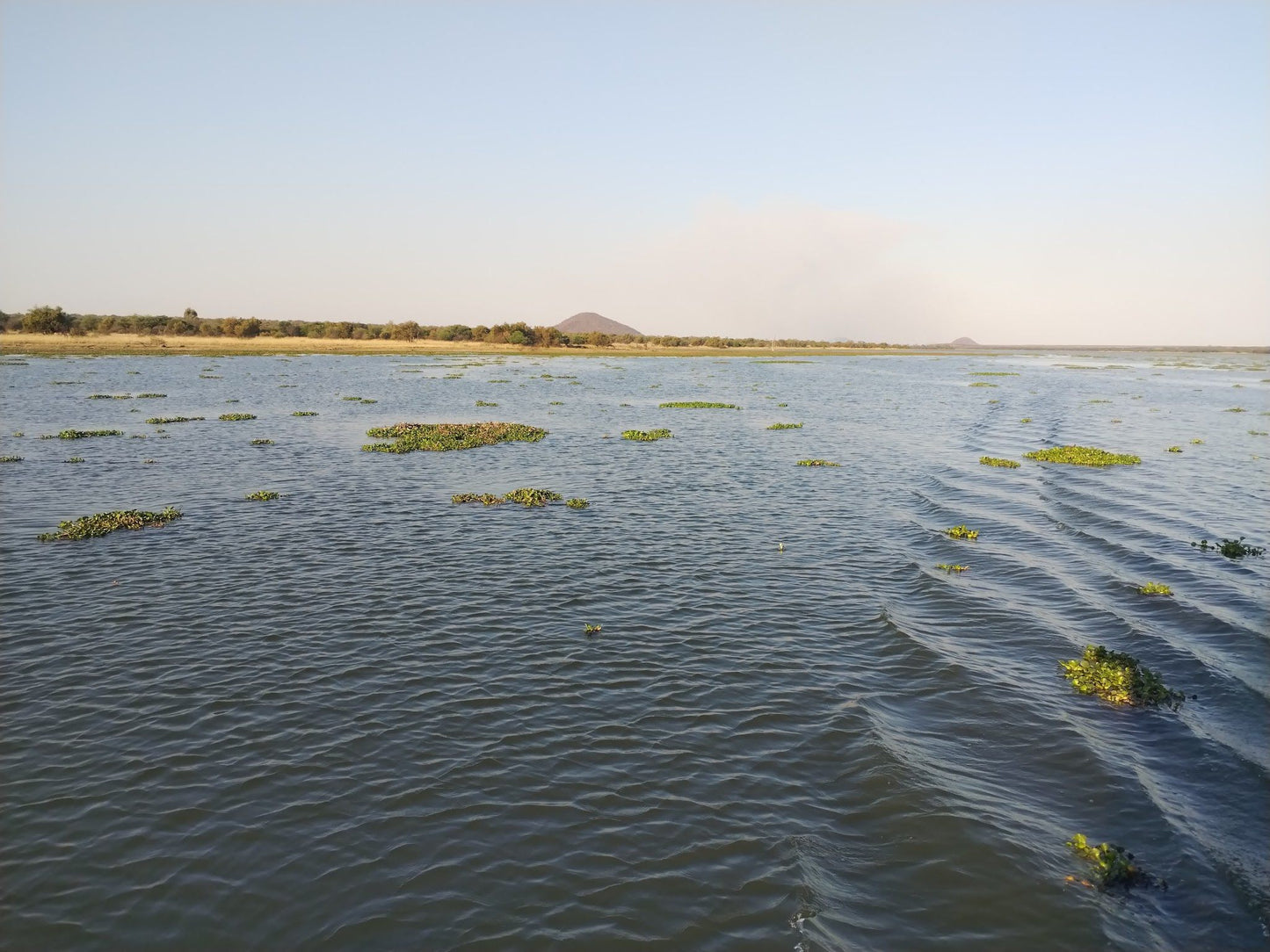  Vaalkop Dam Nature Reserve