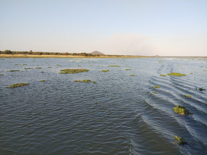  Vaalkop Dam Nature Reserve