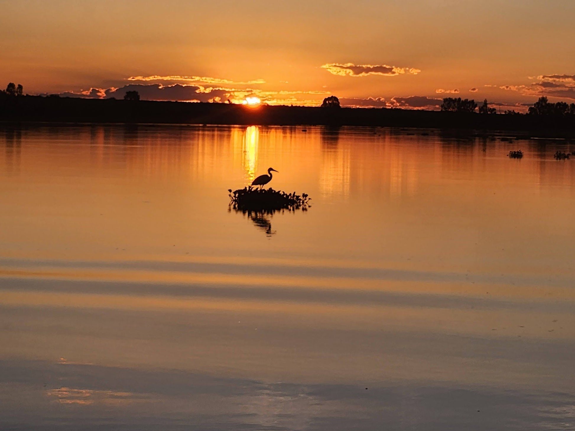  Vaalkop Dam Nature Reserve