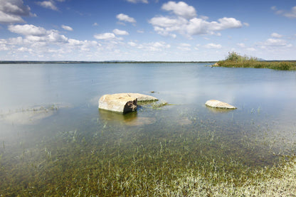  Vaalkop Dam Nature Reserve