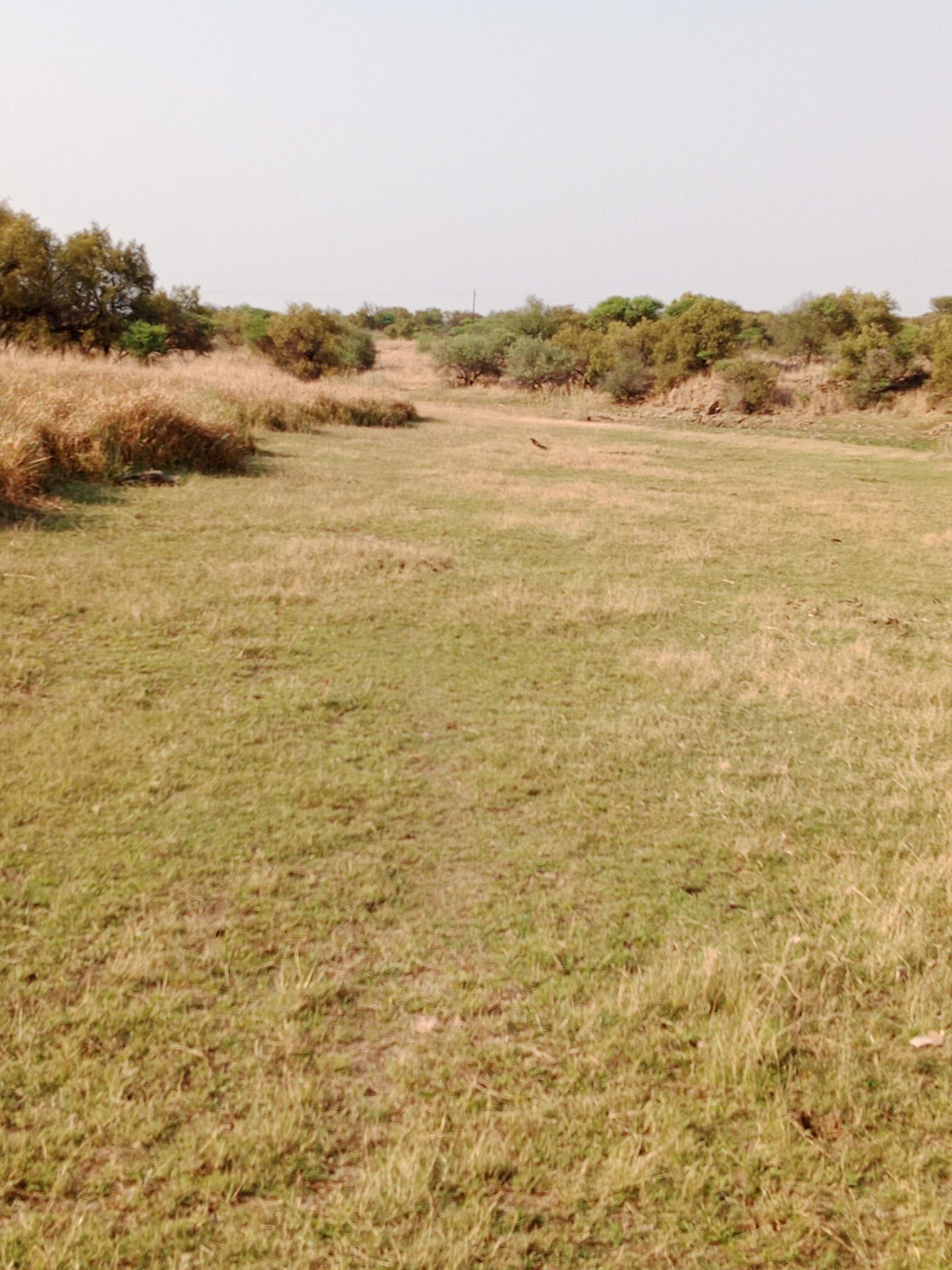  Vaalkop Dam Nature Reserve