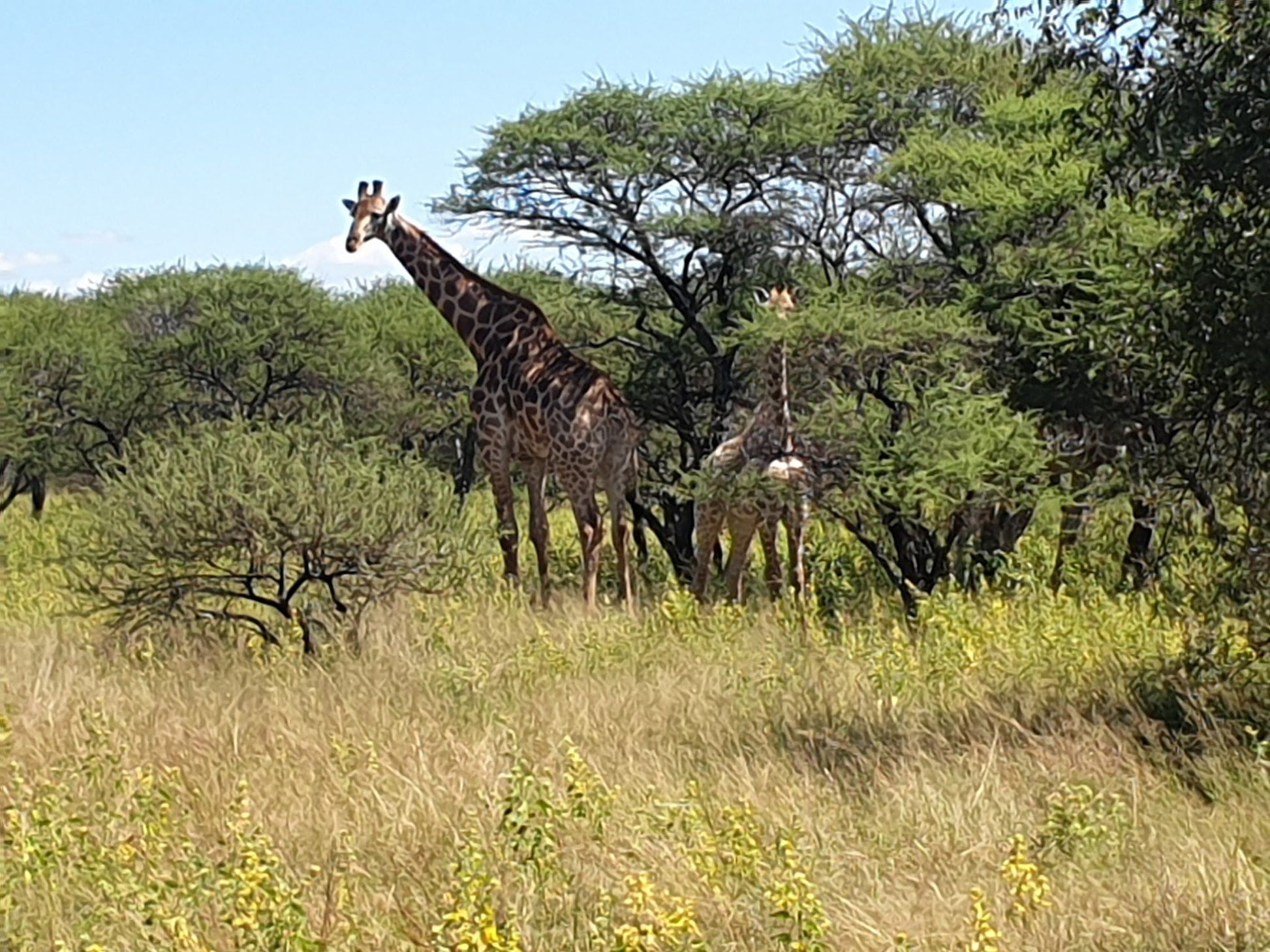  Vaalkop Dam Nature Reserve