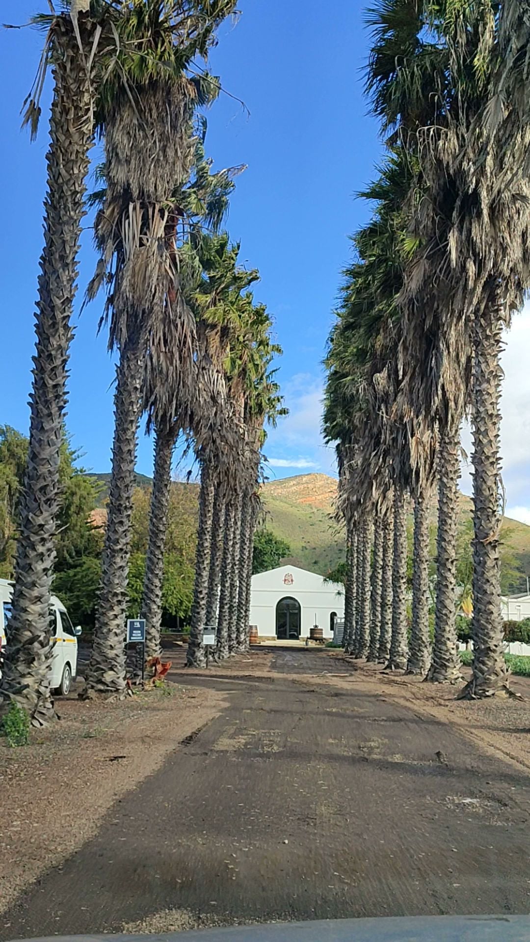  Van Loveren Family Vineyards