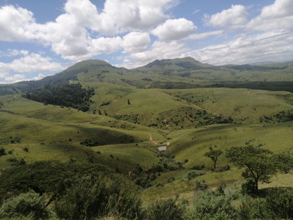 Van Reenen's Pass