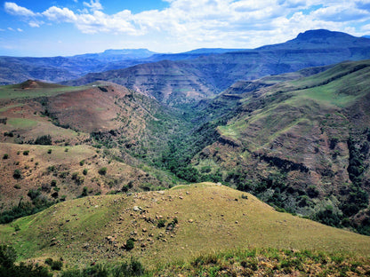 Van Reenen's Pass