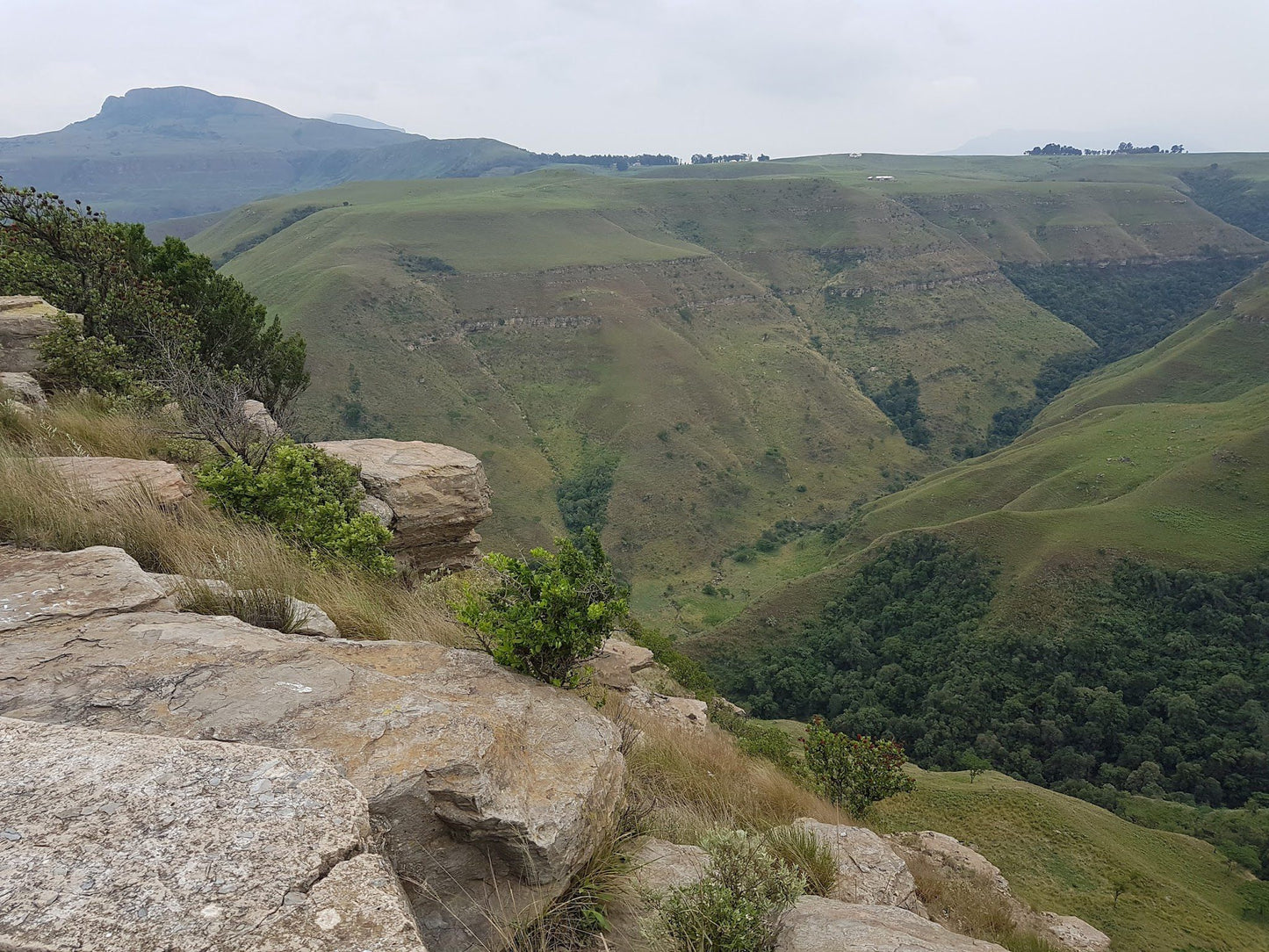 Van Reenen's Pass