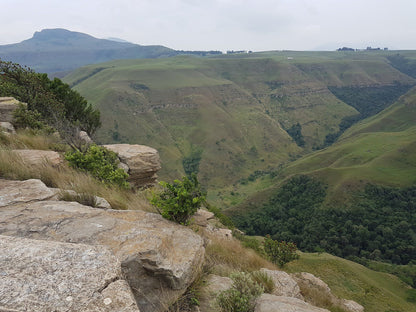 Van Reenen's Pass