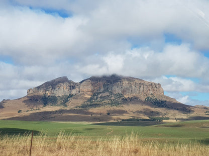 Van Reenen's Pass