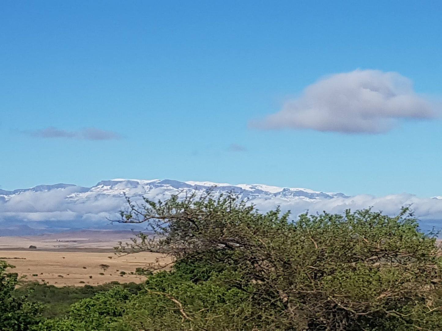 Van Reenen's Pass