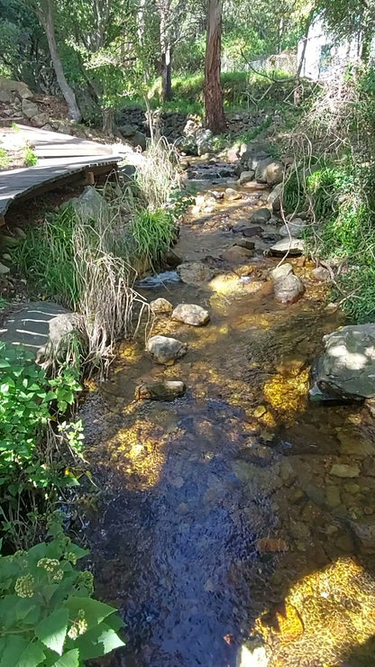 Van Riebeeck Park Hiking Trail