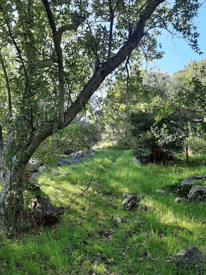 Van Riebeeck Park Hiking Trail