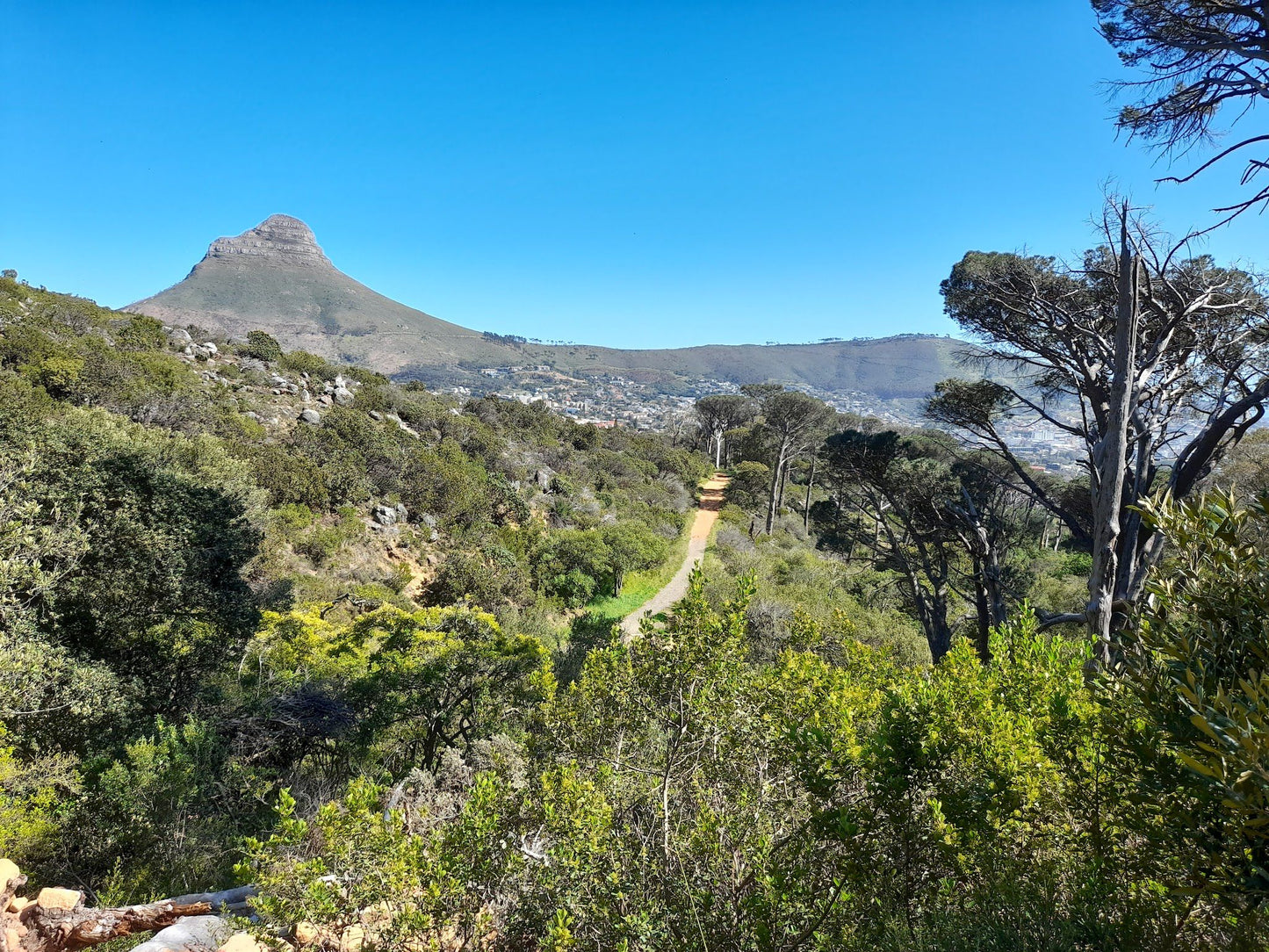 Van Riebeeck Park Hiking Trail