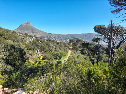 Van Riebeeck Park Hiking Trail