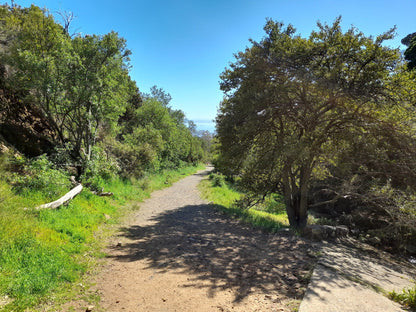 Van Riebeeck Park Hiking Trail