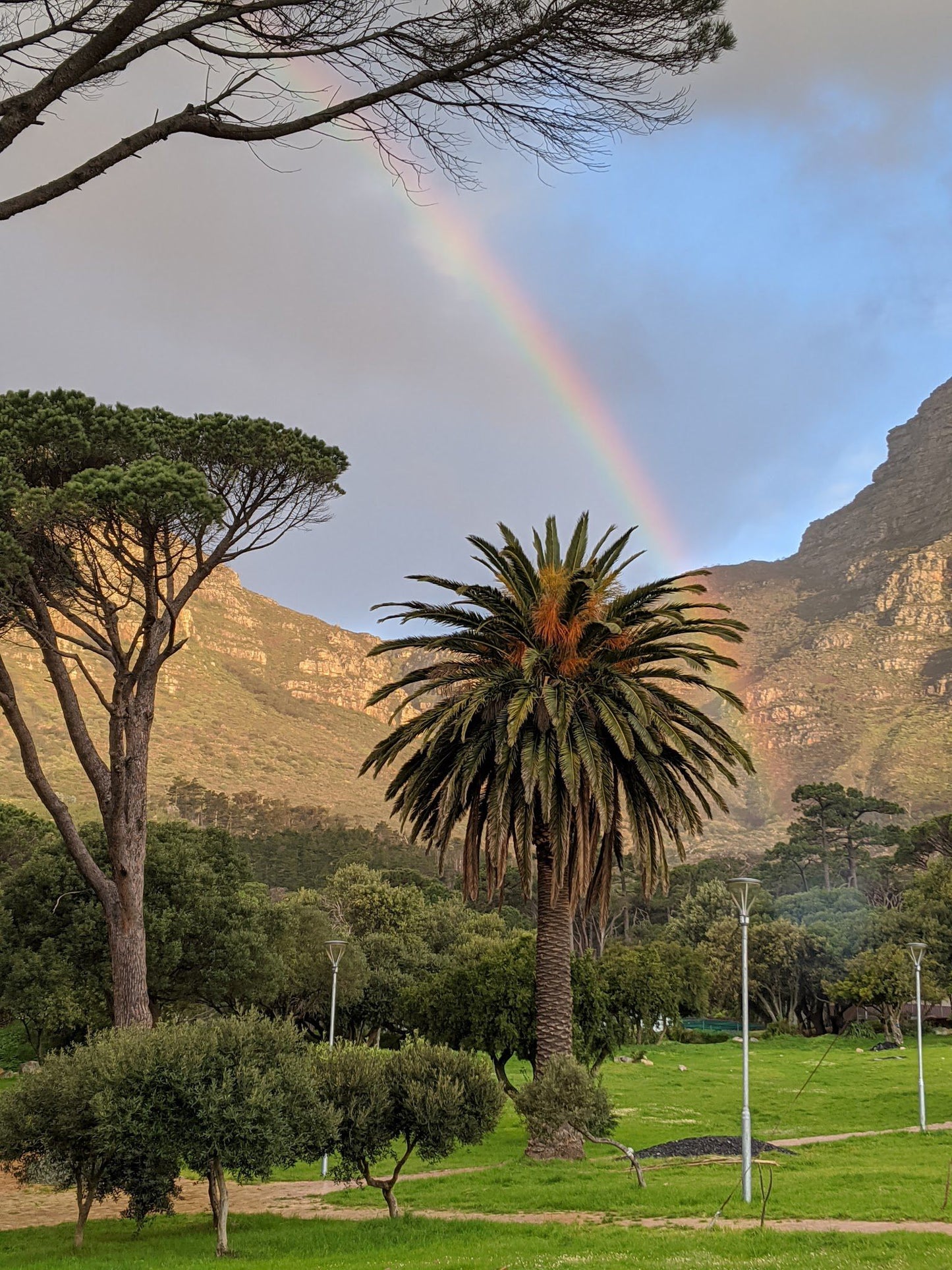  Van Riebeeck Park