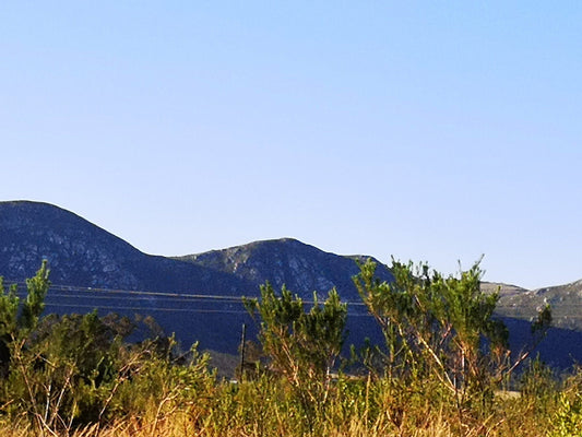  Van Staden's Bridge