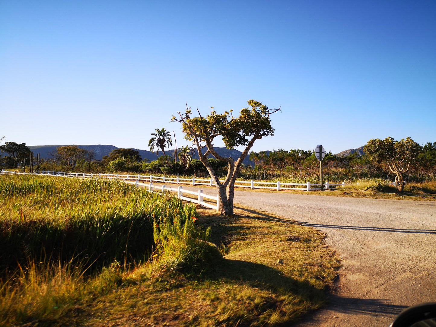  Van Staden's Bridge