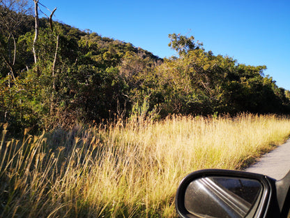  Van Staden's Bridge