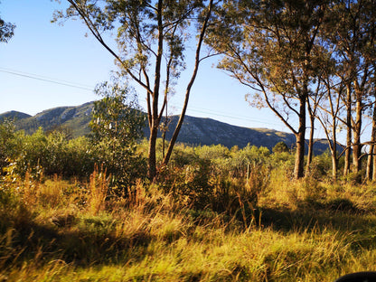  Van Staden's Bridge