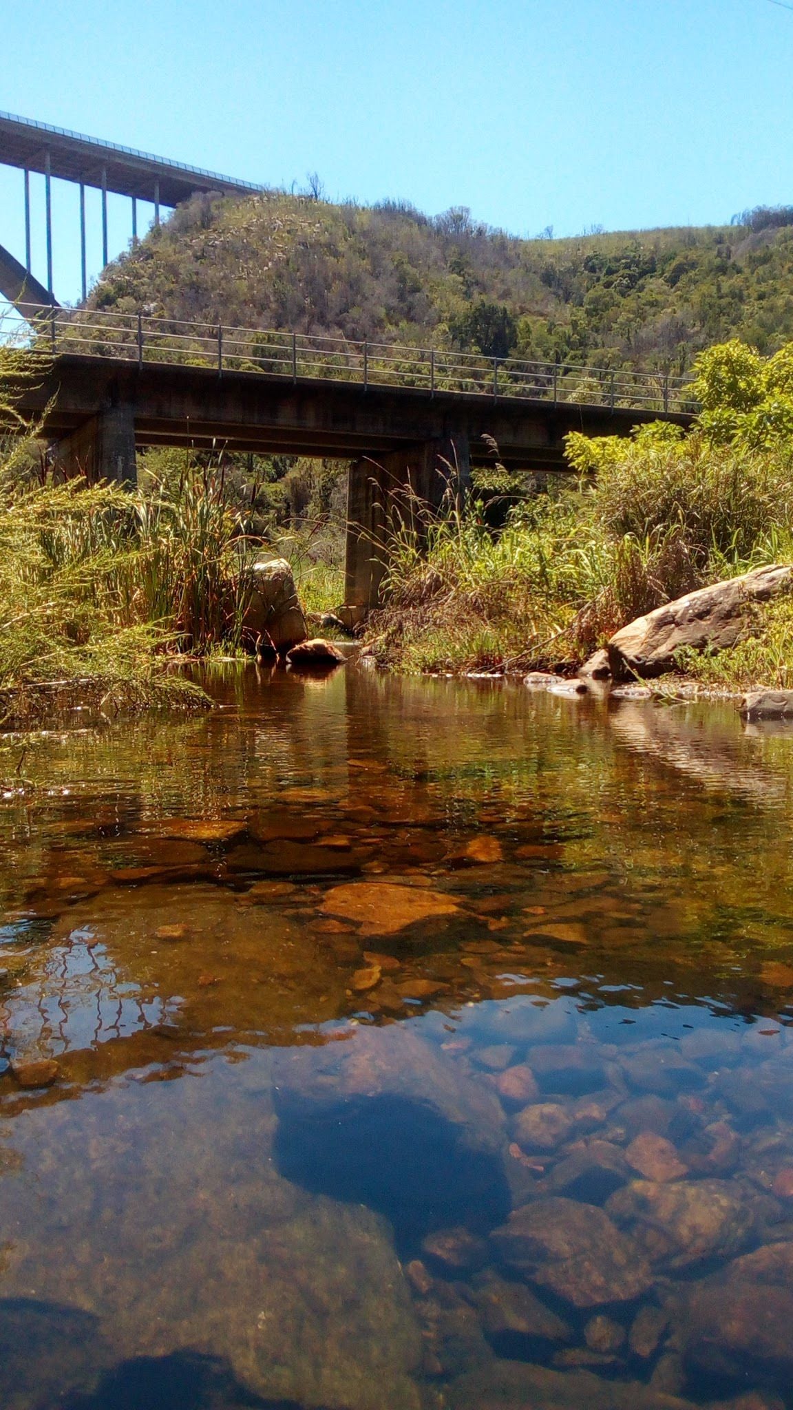  Van Staden's Bridge