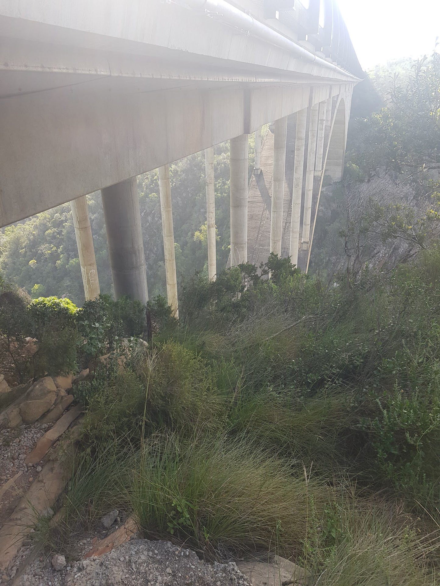  Van Staden's Bridge