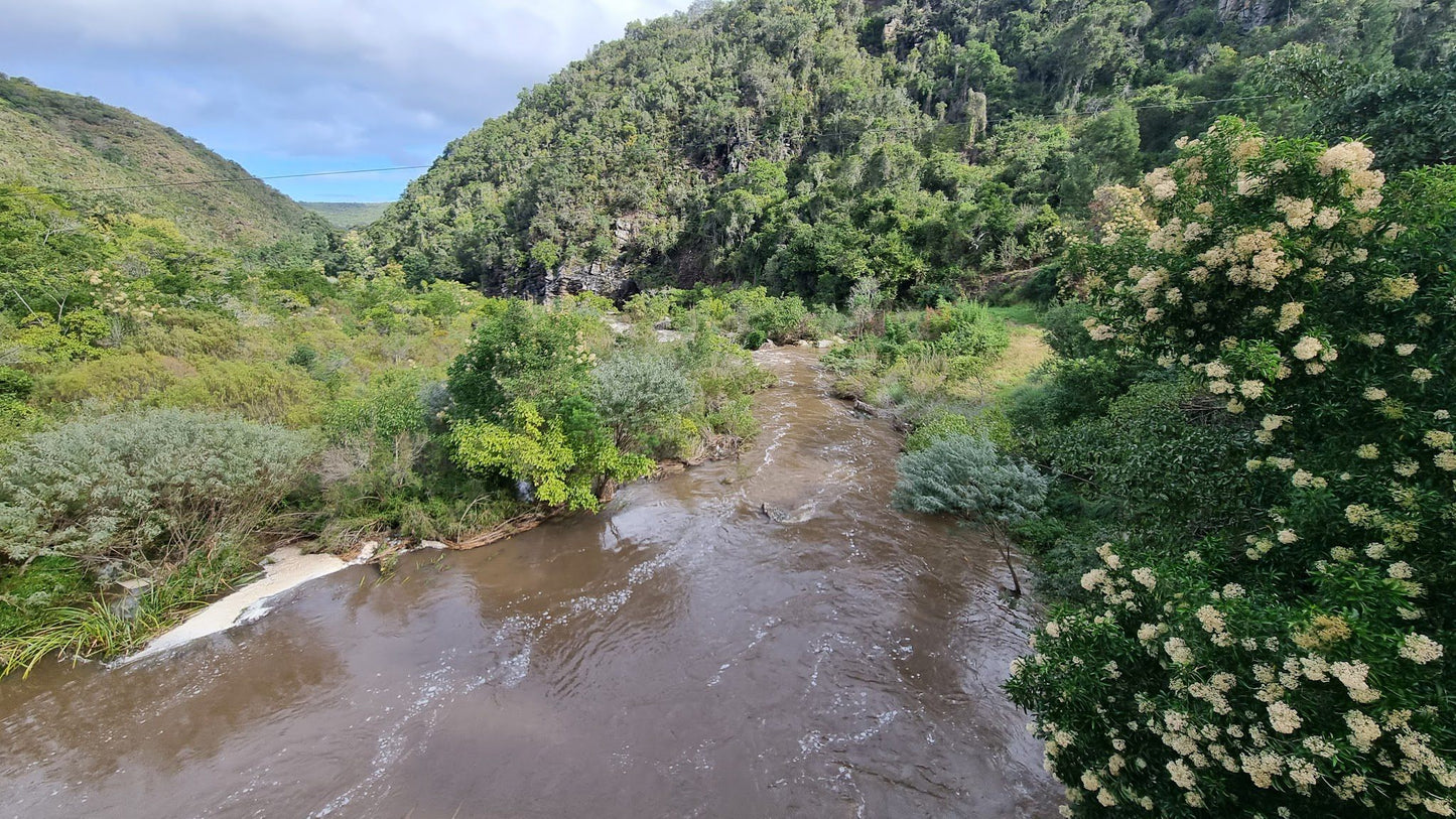  Van Staden's Bridge