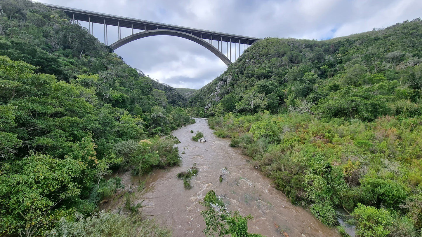  Van Staden's Bridge