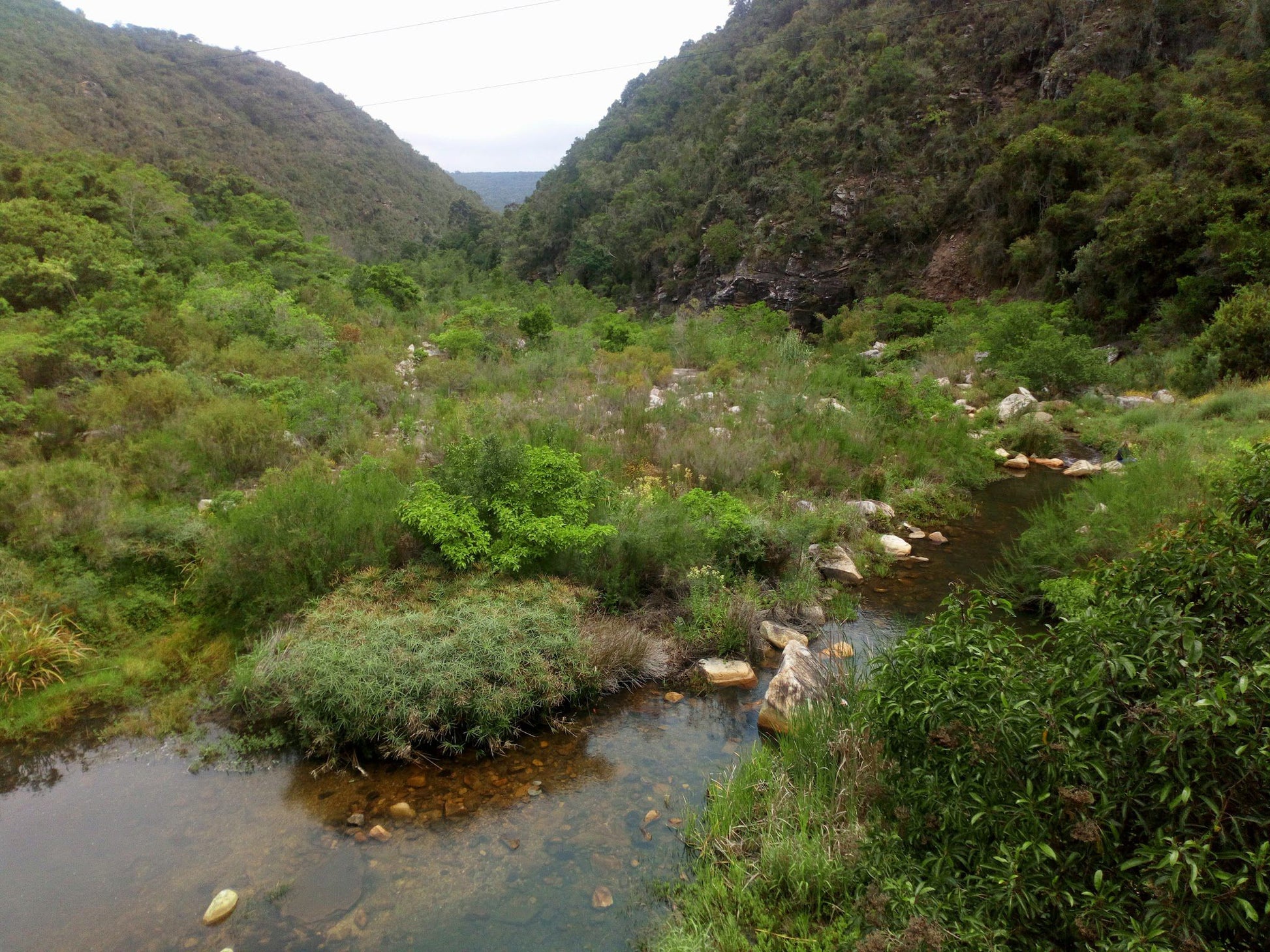  Van Staden's Bridge