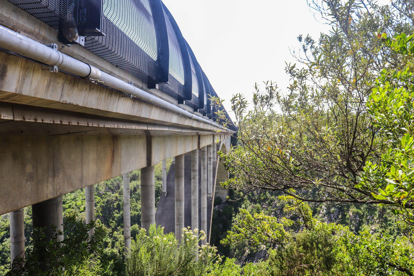  Van Staden's Bridge