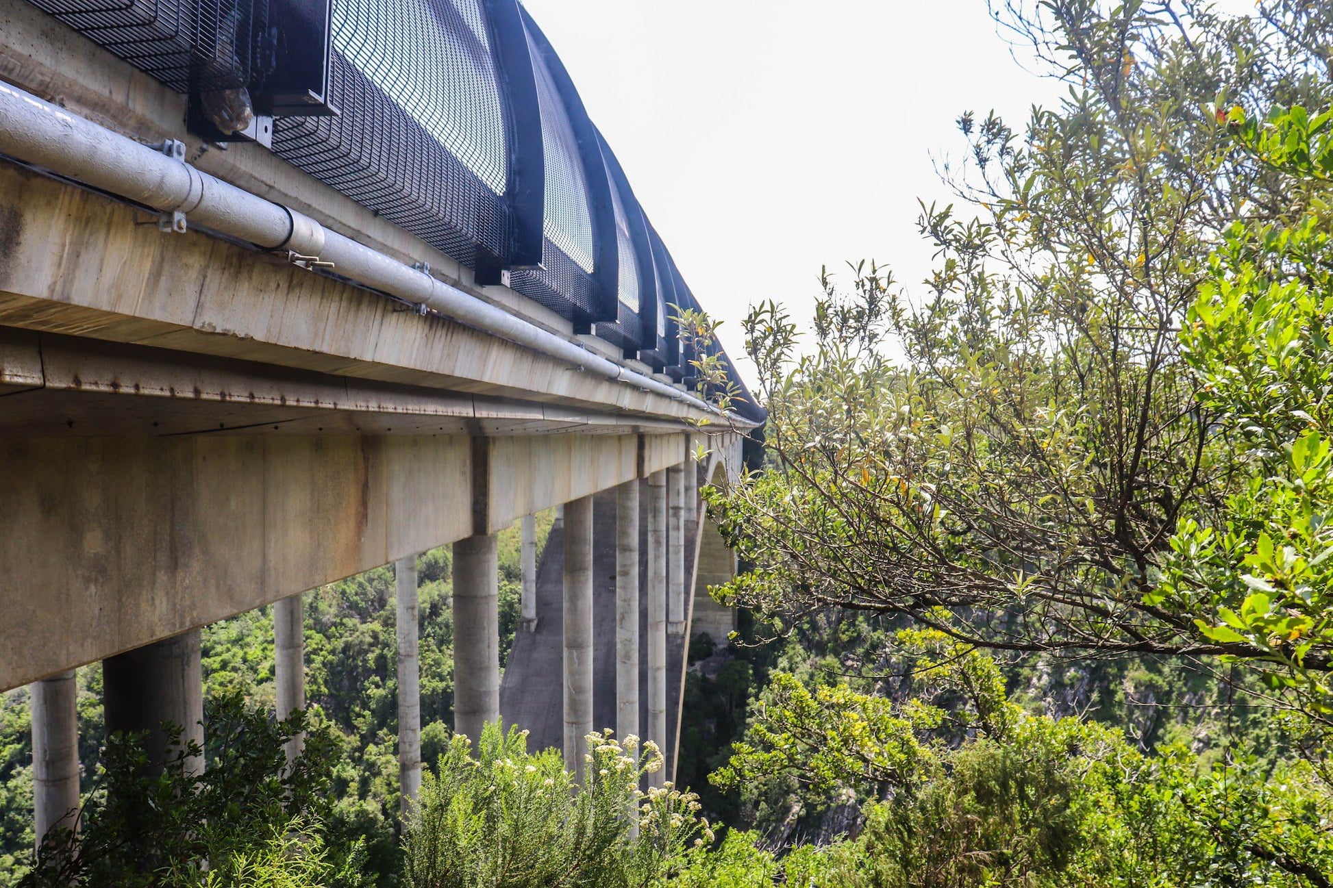  Van Staden's Bridge