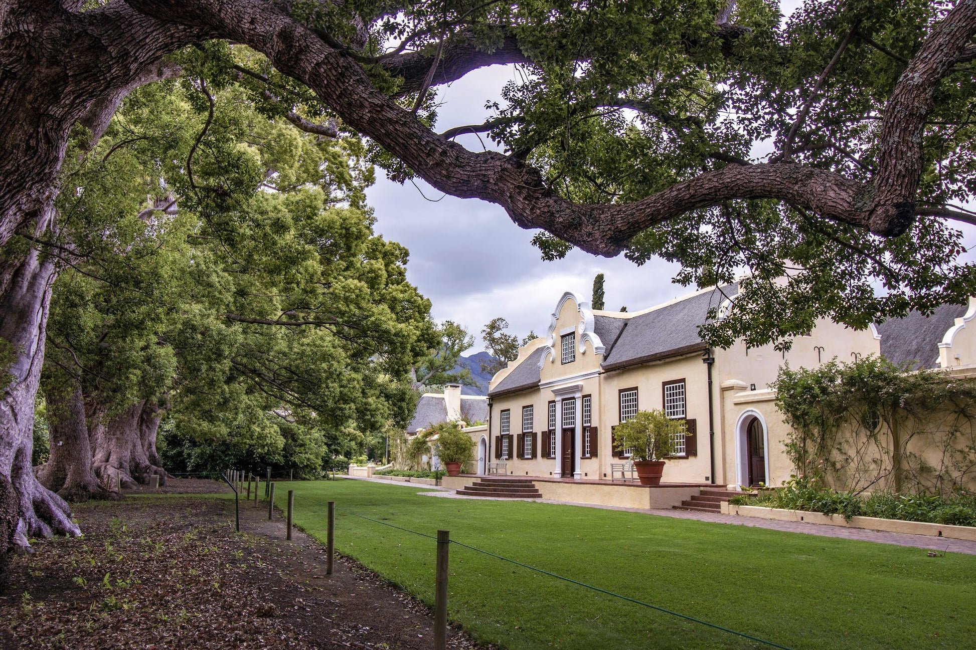  Vergelegen Wine Estate