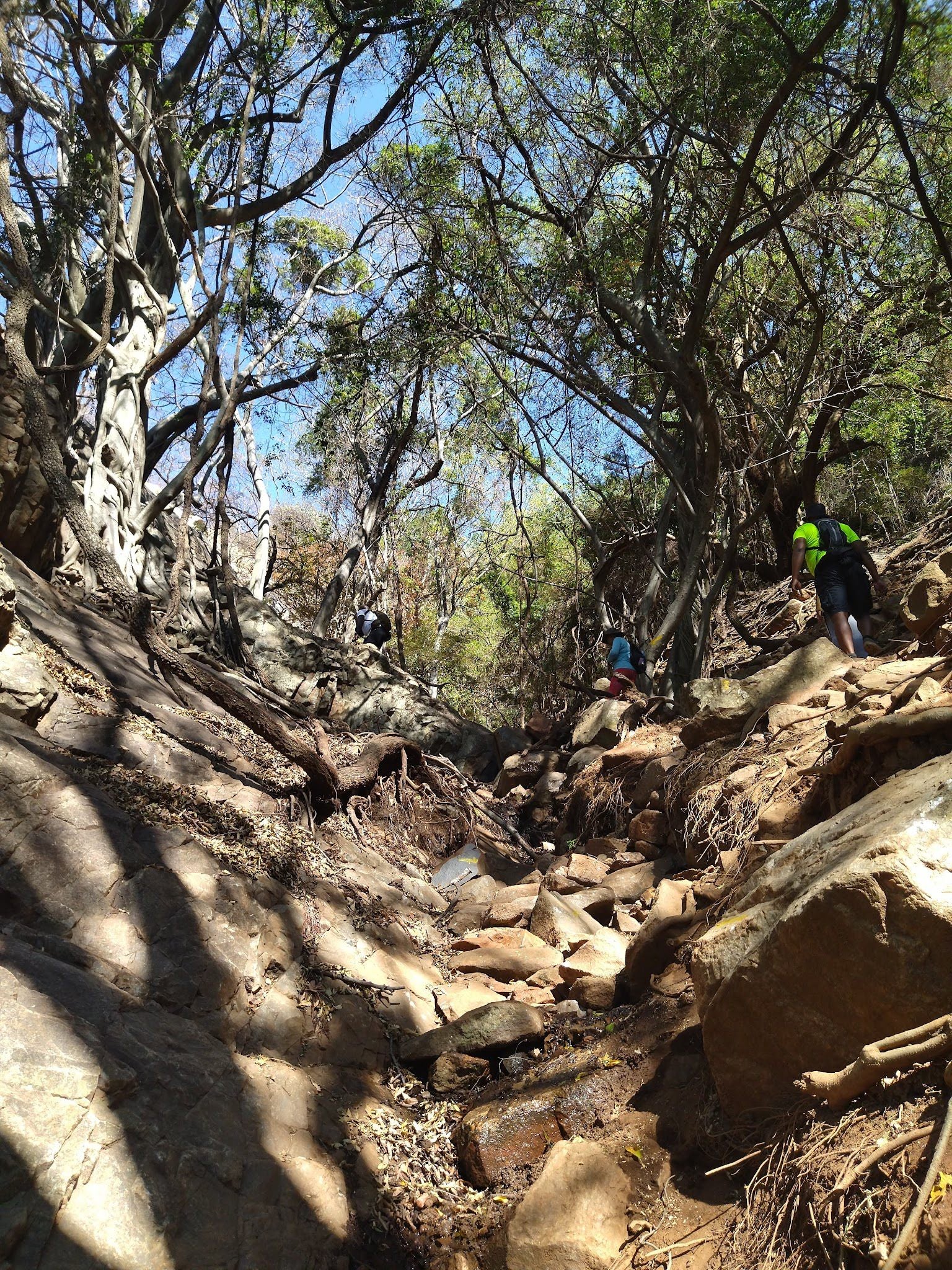  Vergenoeg Nature Reserve & Hiking Trail