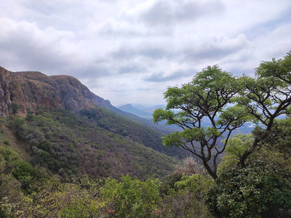  Vergenoeg Nature Reserve & Hiking Trail