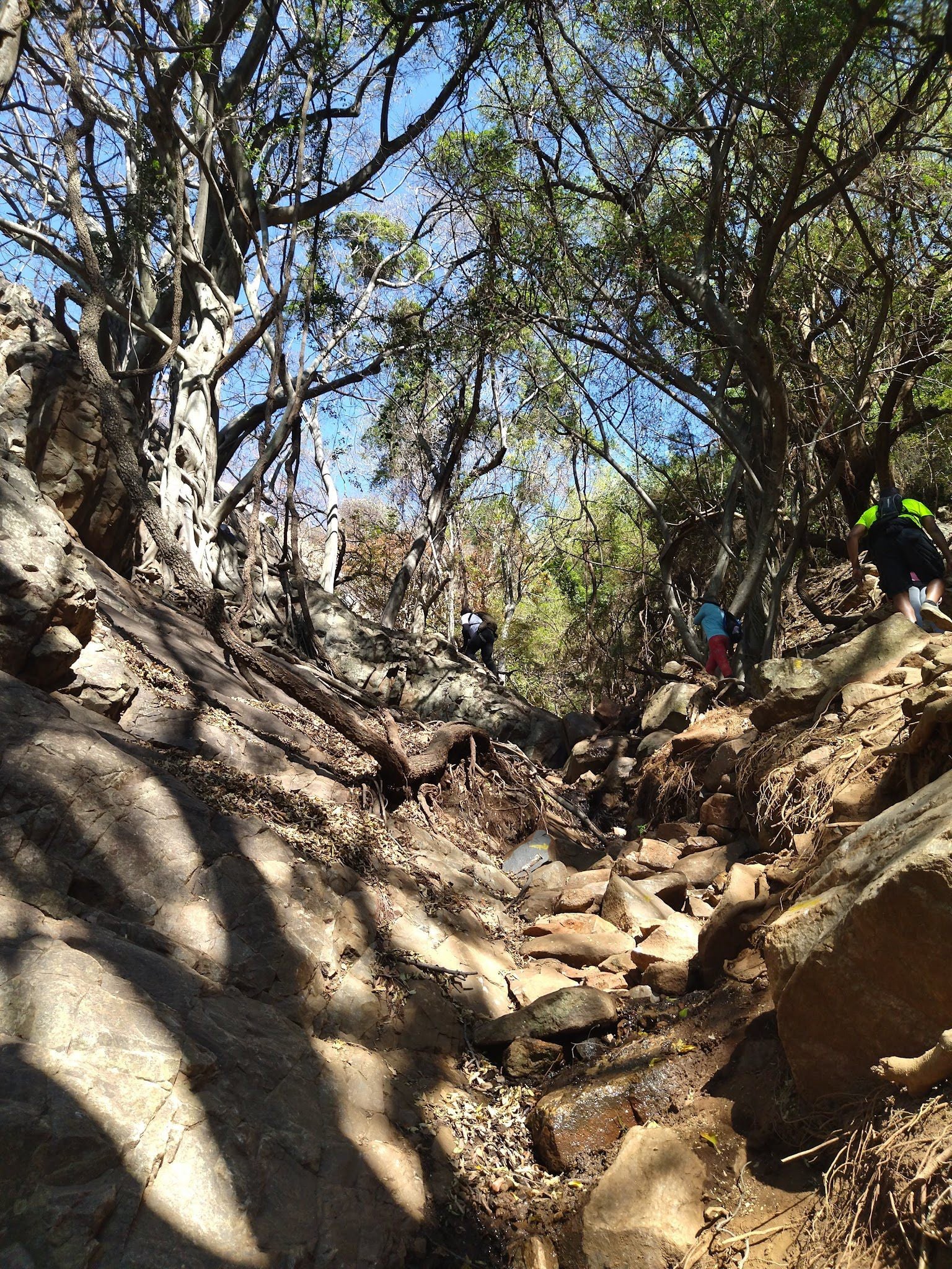  Vergenoeg Nature Reserve & Hiking Trail