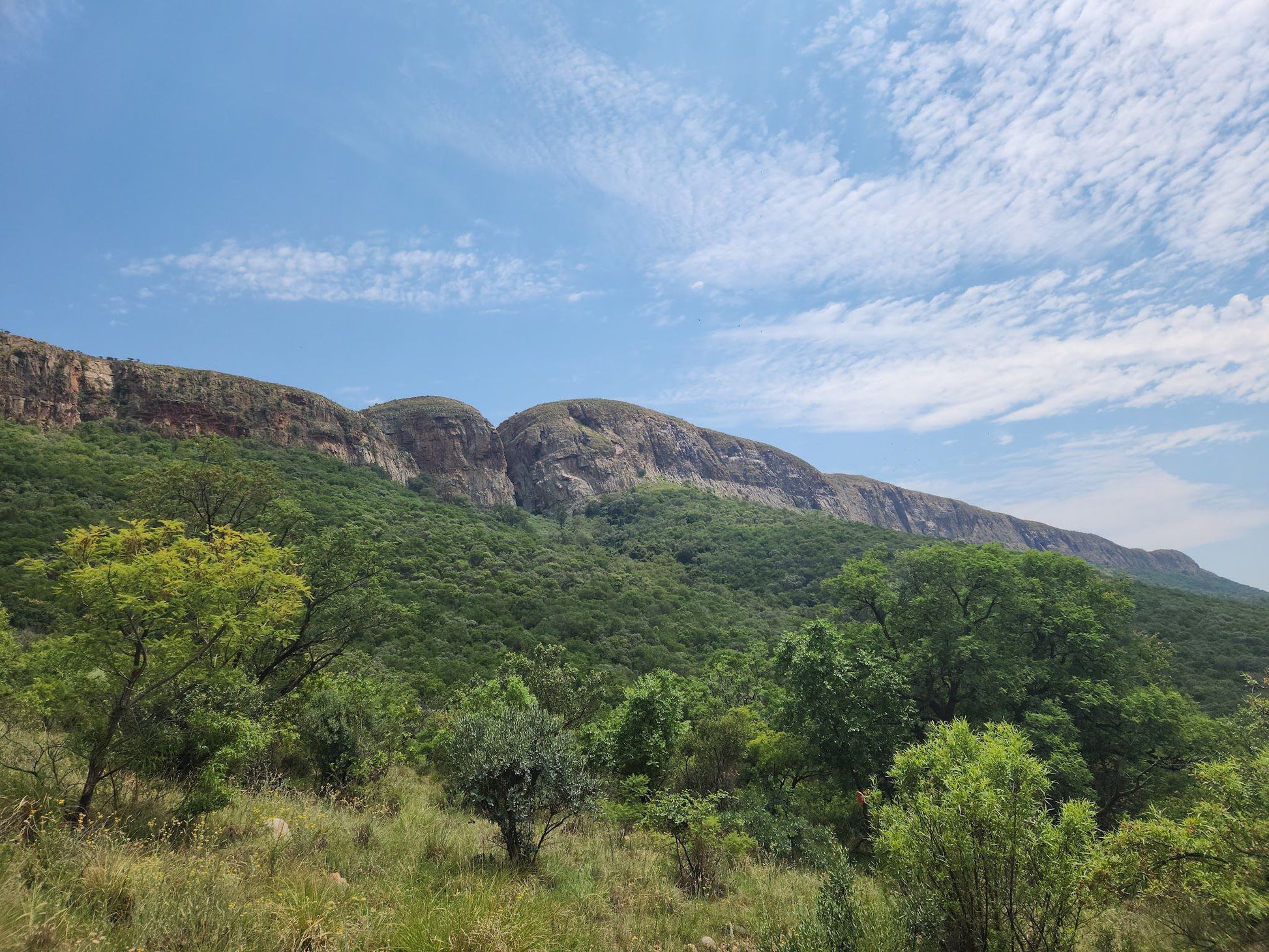  Vergenoeg Nature Reserve & Hiking Trail