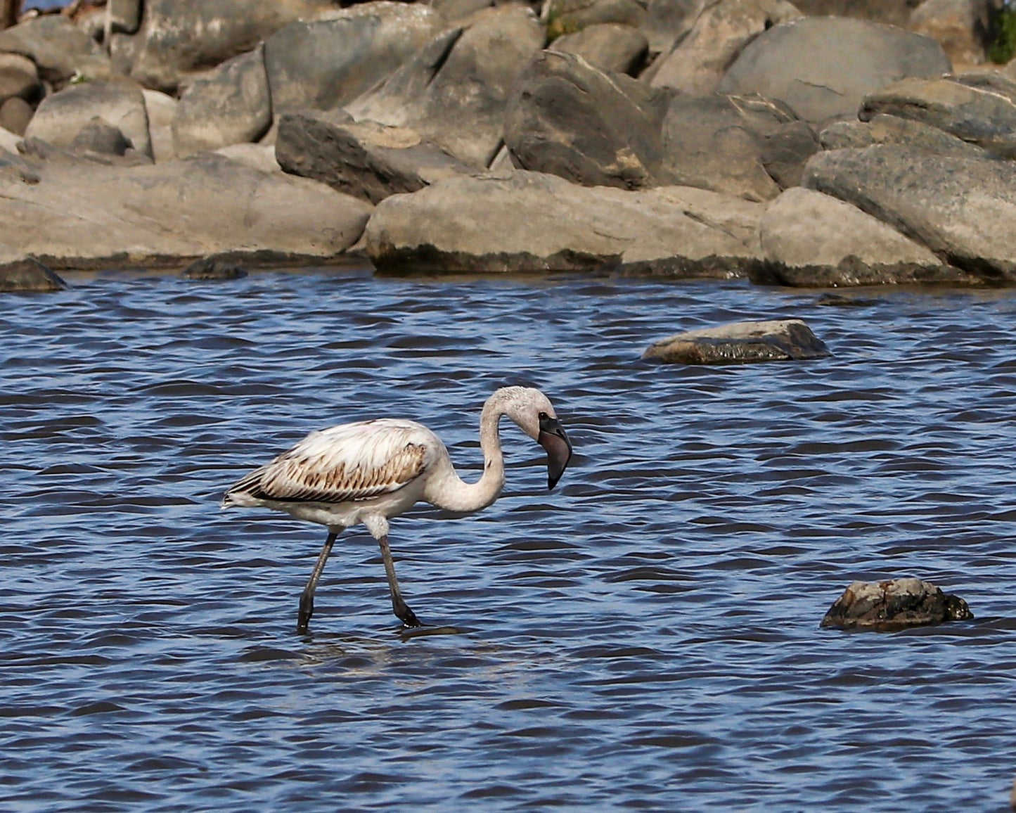  Vermont Salt Pan