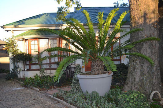 Villa Jana Guest House Equestria Pretoria Tshwane Gauteng South Africa House, Building, Architecture, Palm Tree, Plant, Nature, Wood, Garden