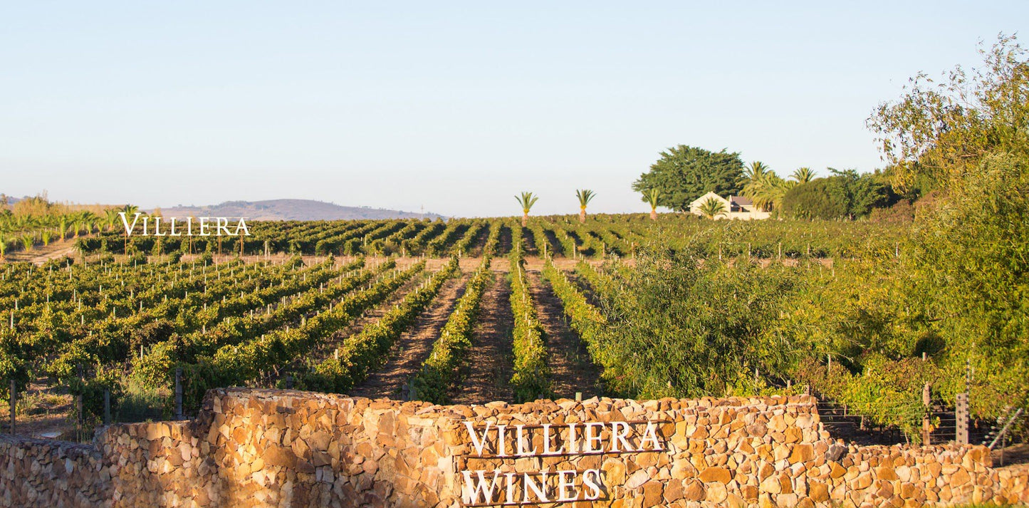  Villiera Wines