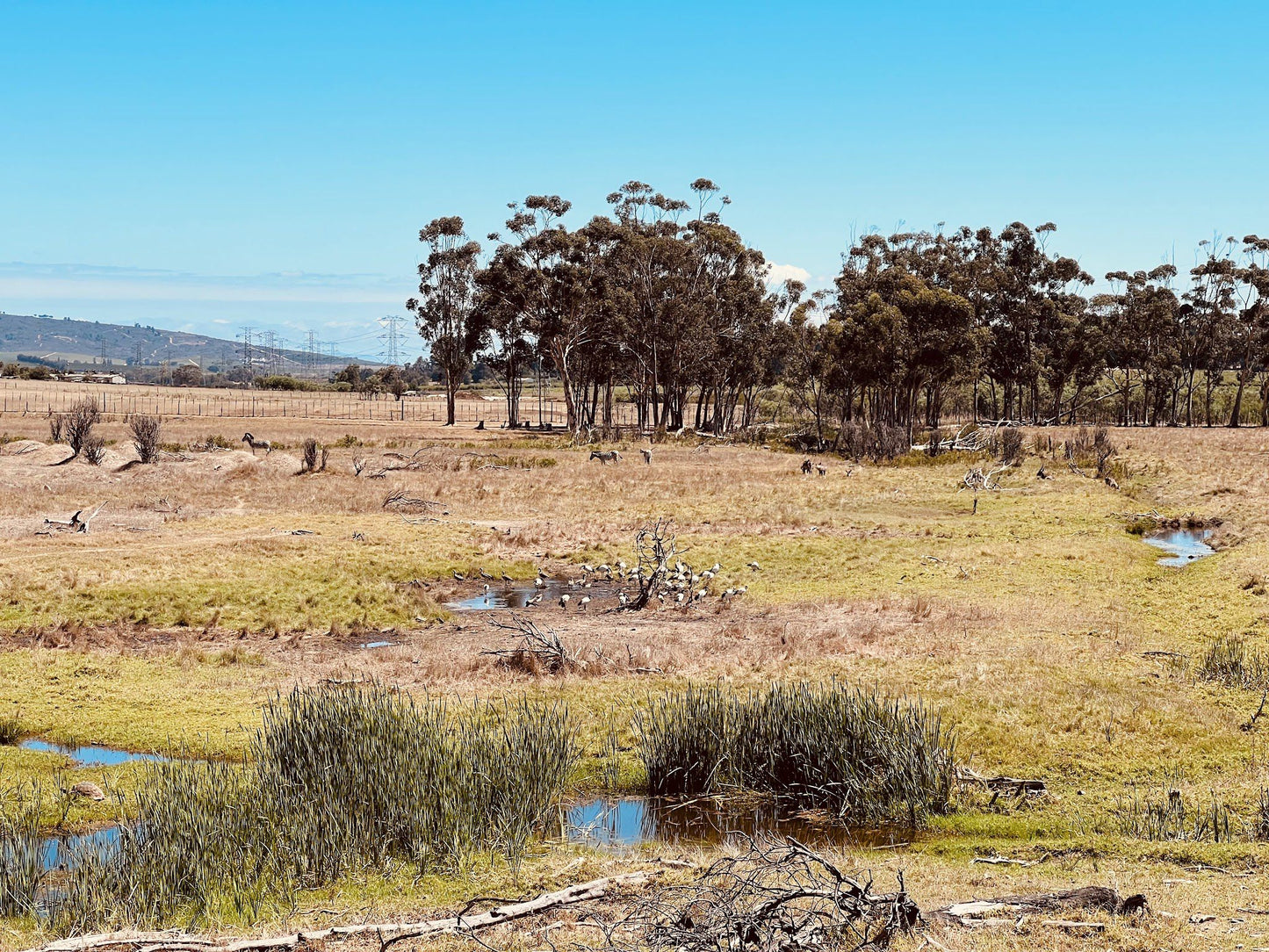  Villiera Wines