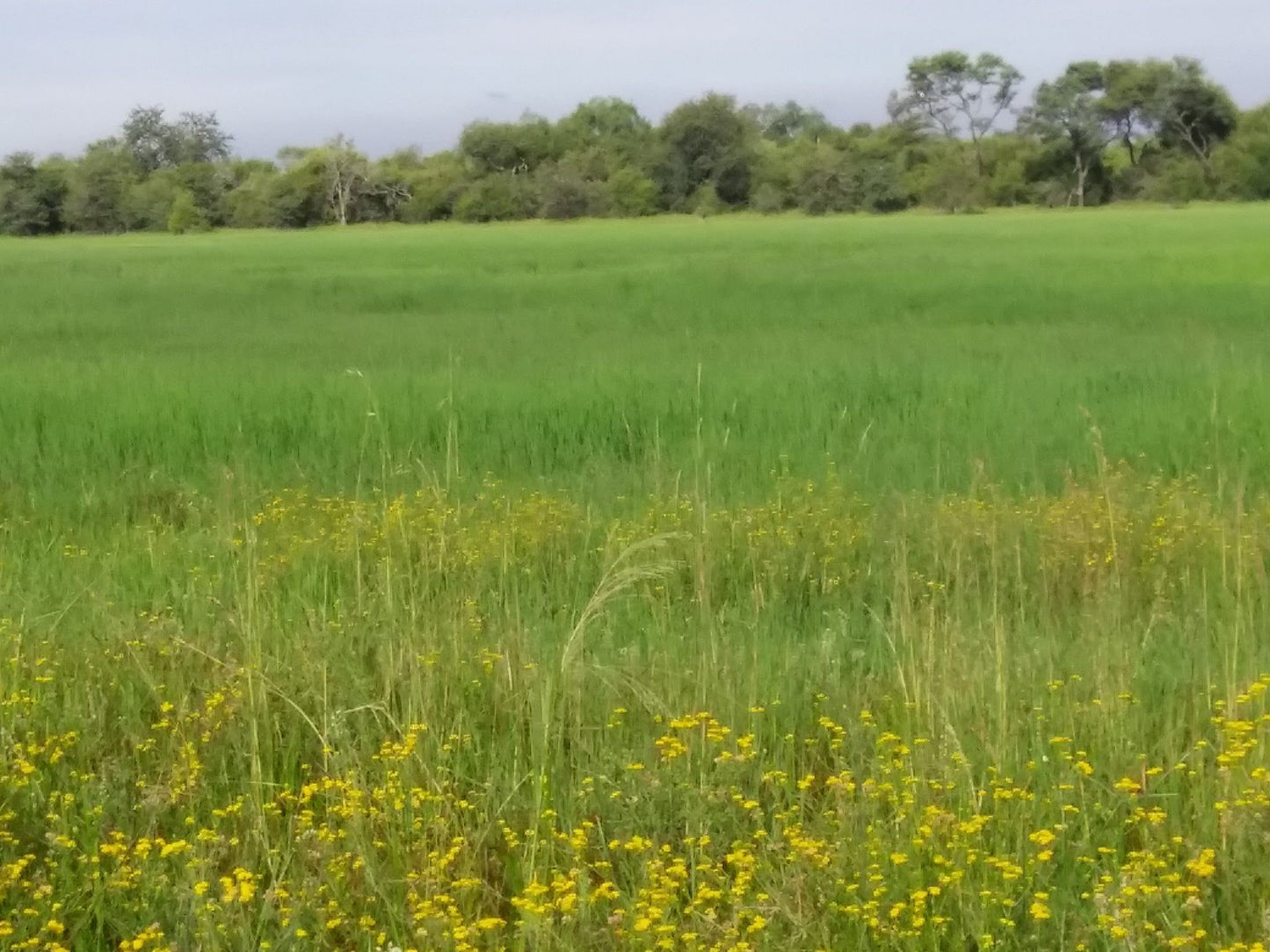  Vogelfontien Bird Hide