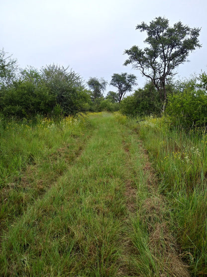  Vogelfontien Bird Hide