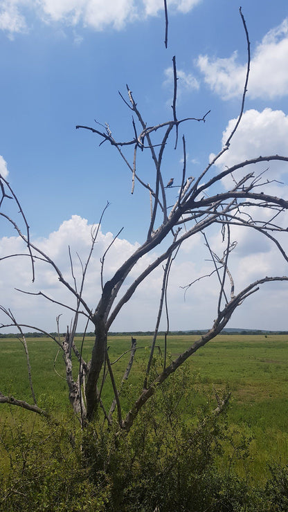  Vogelfontien Bird Hide